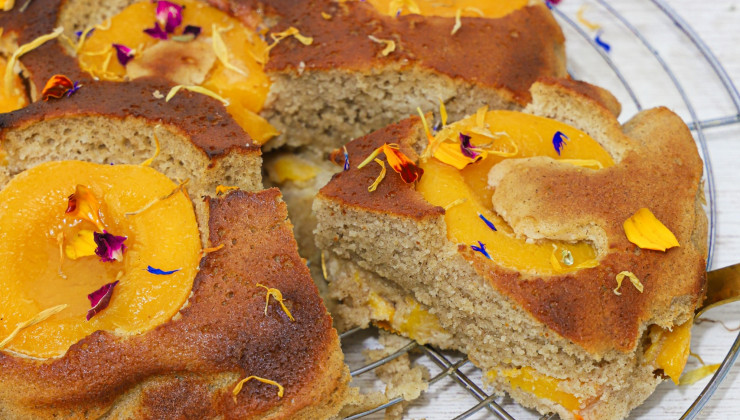 Ceci est une photographie de Gateau moelleux à l'abricot sans gluten