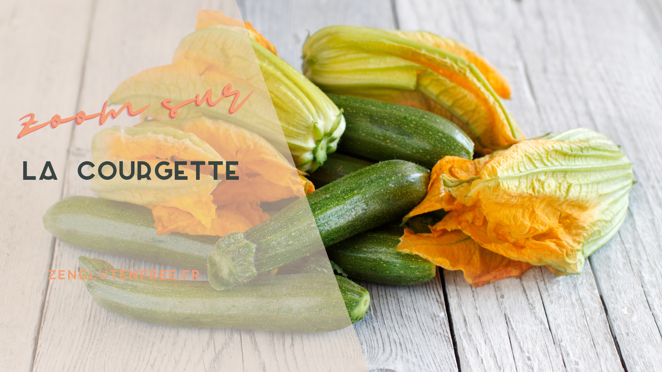ceci est une photo de courgette