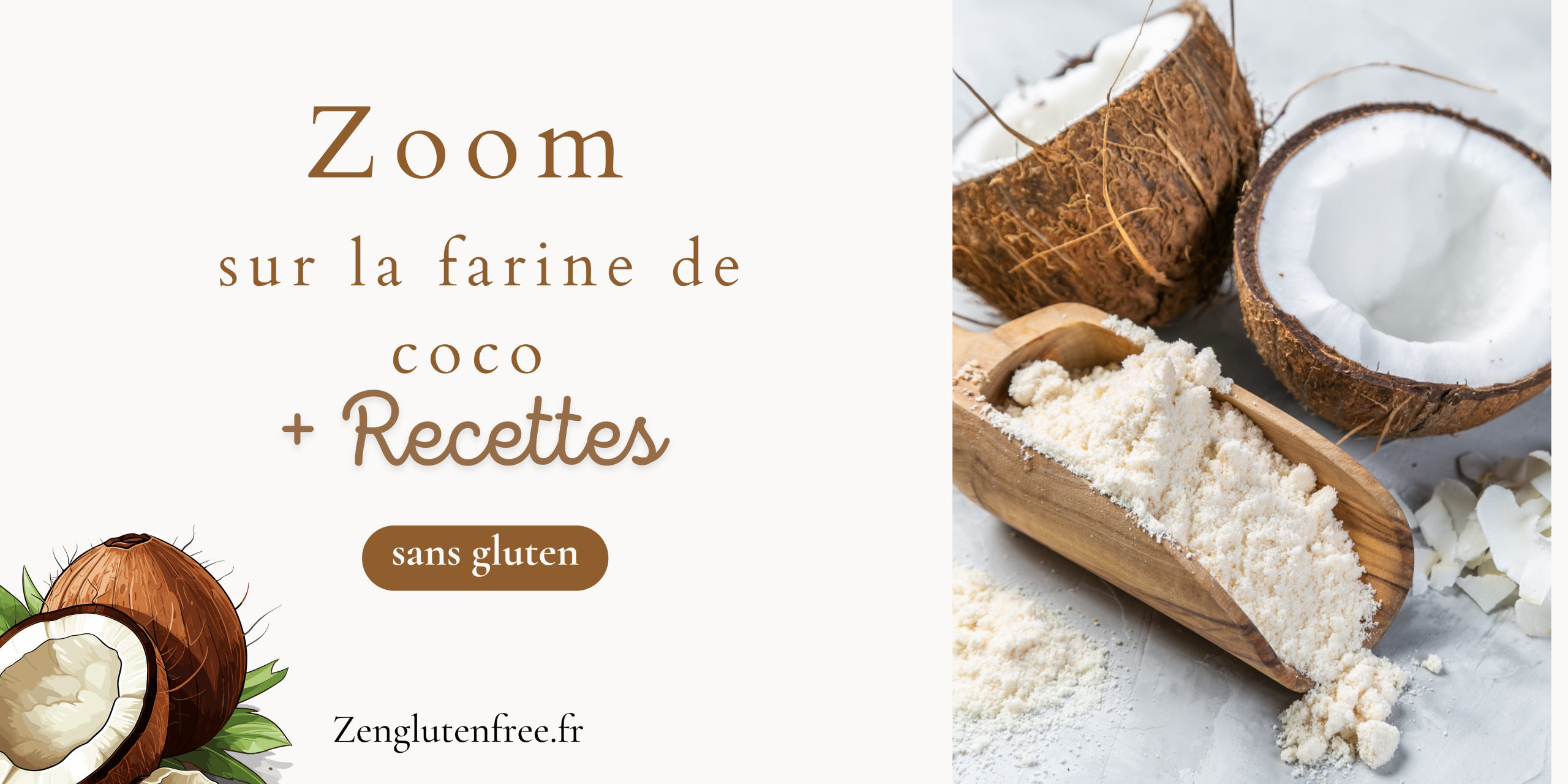 Une photographie vue i de farine de coco d'un blanc crémeux, accompagnée d'une noix de coco fraîche coupée en deux révélant sa chair blanche. La texture fine et poudreuse de la farine contraste avec la texture fibreuse de la noix de coco. Titre superposé : "La farine de coco : guide sans gluten