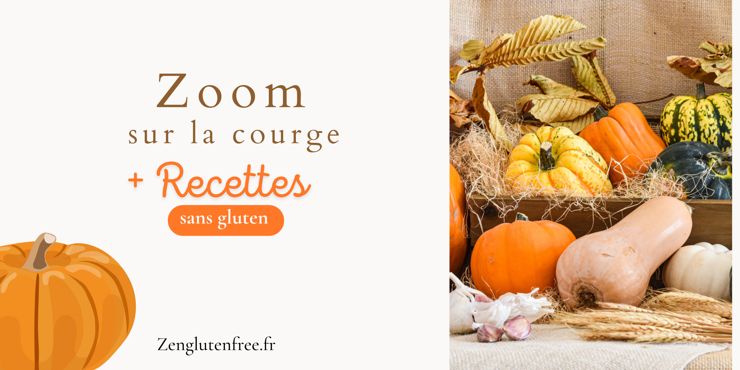 Diverses variétés de courges colorées disposées artistiquement avec des ingrédients sans gluten et des ustensiles de cuisine