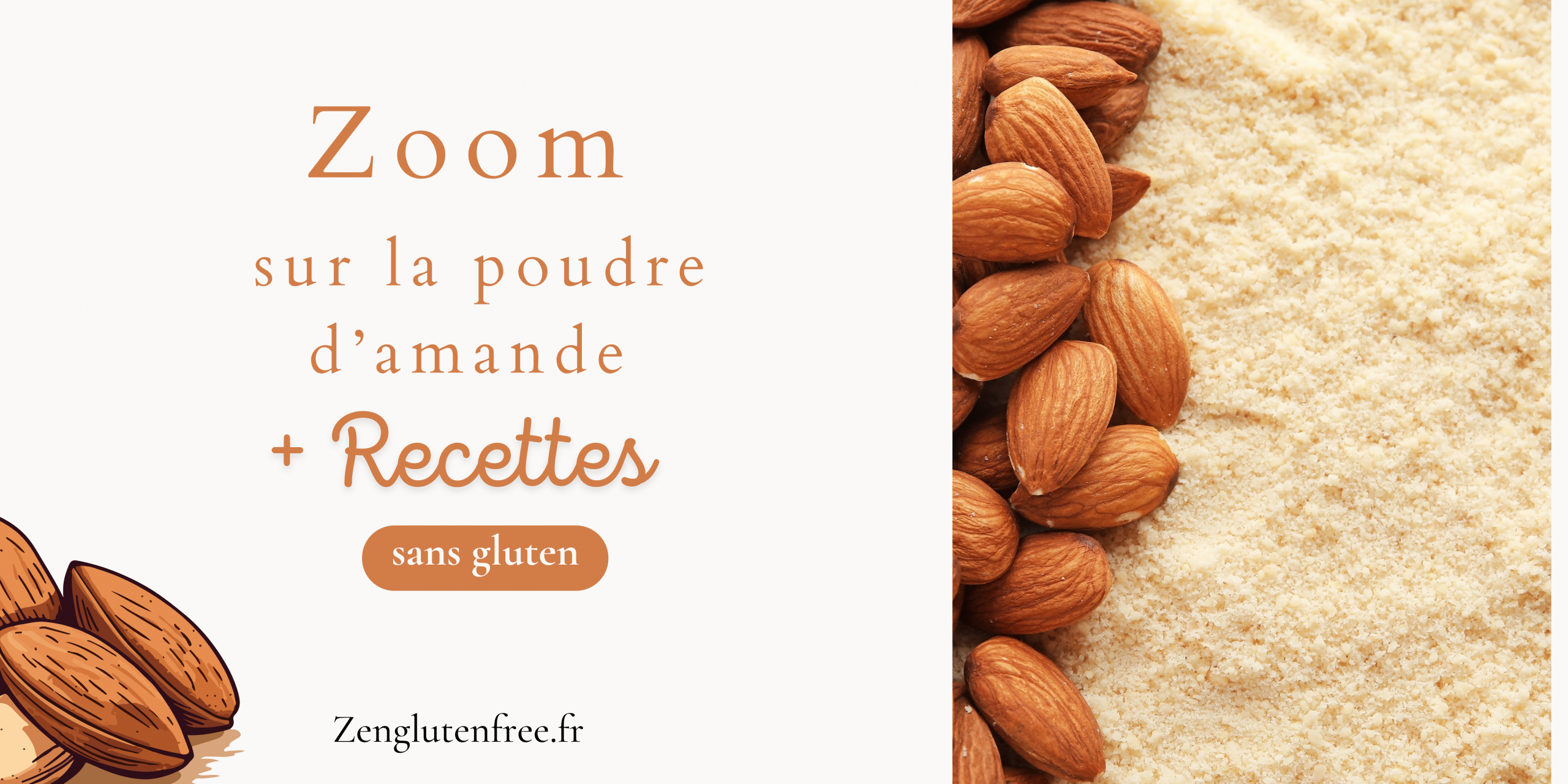 Cette photographie est celle de la poudre d'amande .La texture est granuleuse , il ya egalement des amandes sur la photo et à côté sur un fond blanc il ya marqué : "zoom sur la poudre d'amande : guide + recettes sans gluten