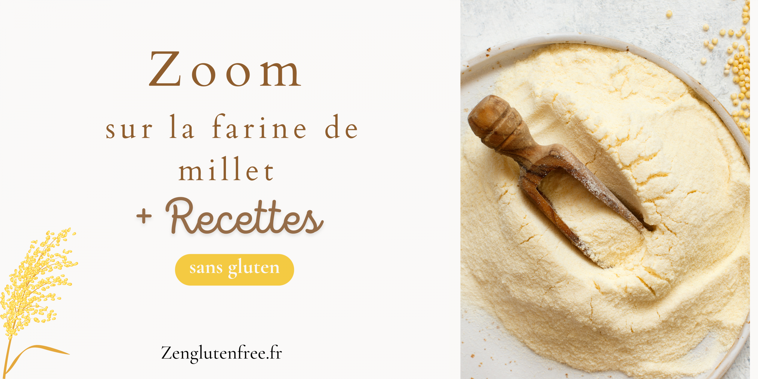 Une photo représentant de la farine de millet dorée disposée sur une surface claire, accompagnée de grains millet éparpillés. Cette image illustre la texture fine et la couleur caractéristique de la farine de millet, mettant en valeur son aspect naturel et son origine céréalière. Cela permet de décrire visuellement le sujet principal de l'article tout en restant fidèle à son contenu sur la farine de millet sans gluten. + texte zoom sur la farine de millet + recette